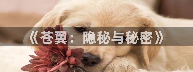 无良公会樱花动漫：《苍翼：隐秘与秘密》