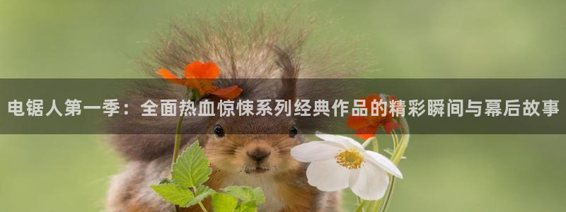 樱花动漫imomoe暗牧官网：电锯人第一季：全面热血惊悚系列经典作品的精彩瞬间与幕后故事